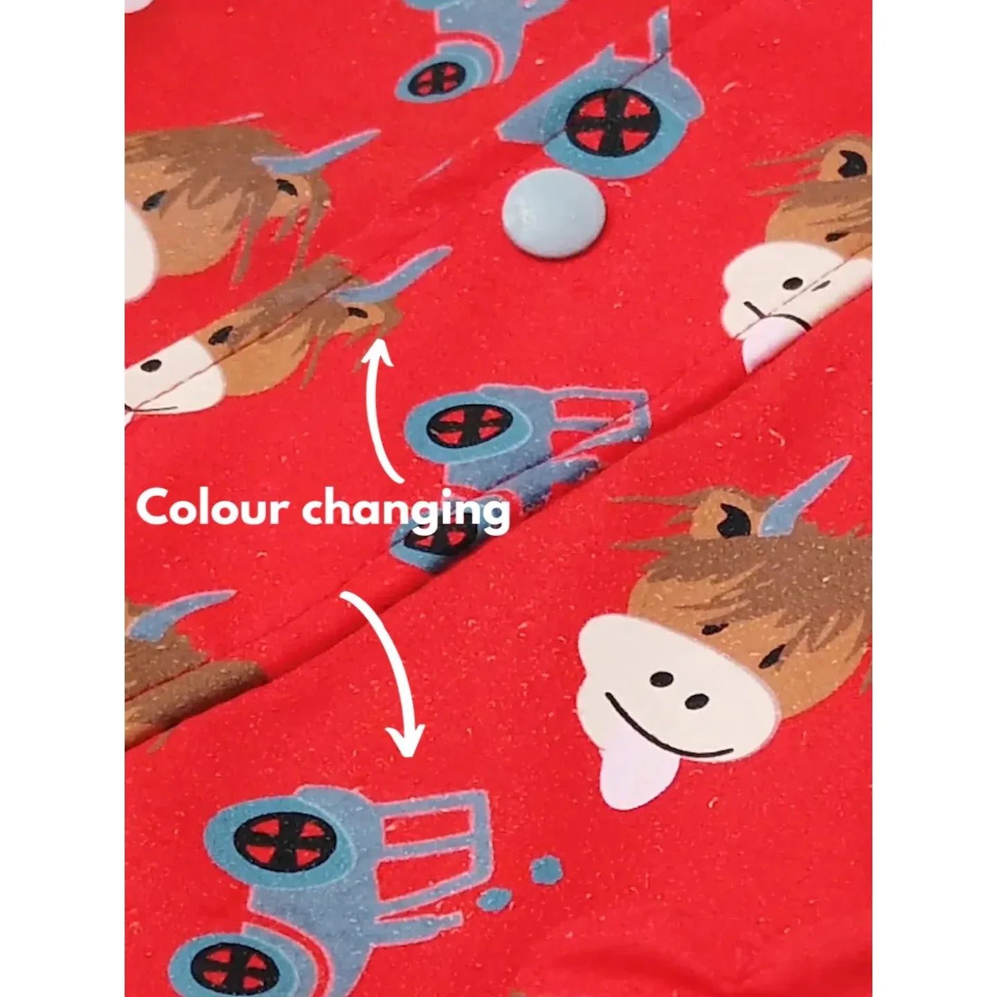 Hamish Highland Cow Colour Changing Raincoat